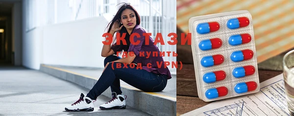ECSTASY Гусь-Хрустальный
