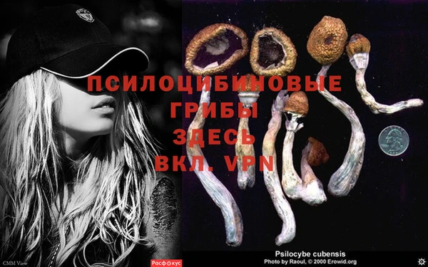 jwh Гусев