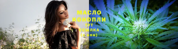 ECSTASY Гусь-Хрустальный