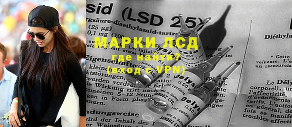 ECSTASY Гусь-Хрустальный
