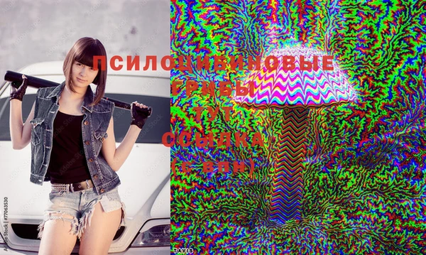 jwh Гусев