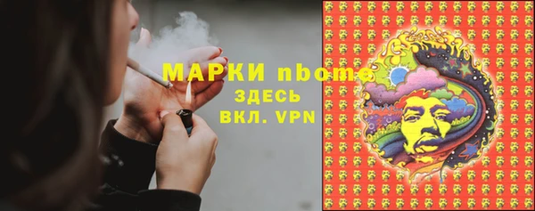 ECSTASY Гусь-Хрустальный