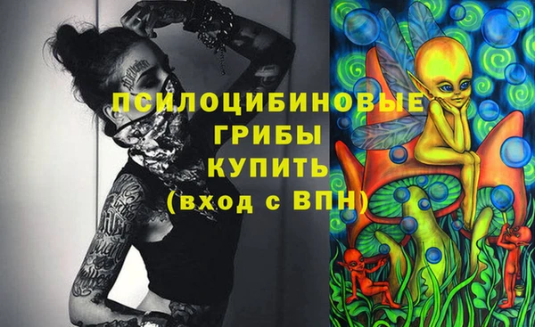 ECSTASY Гусь-Хрустальный